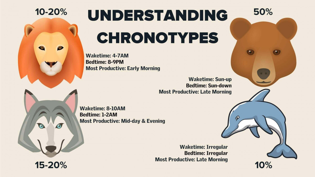 wolf sleep type schedule