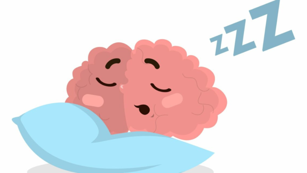 brain while sleeping
