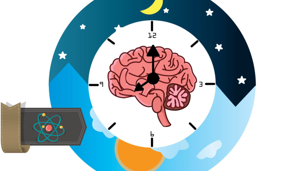 what-happens-to-the-brain-while-sleeping-how-to-improve-sleep